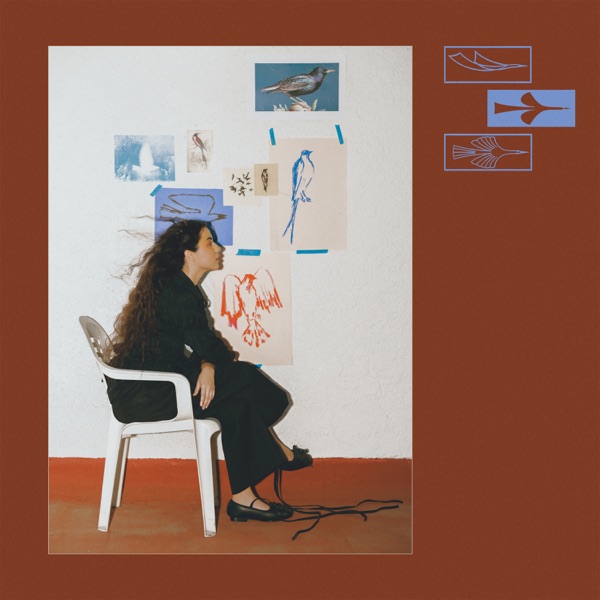Como Un Pájaro - Single album cover
