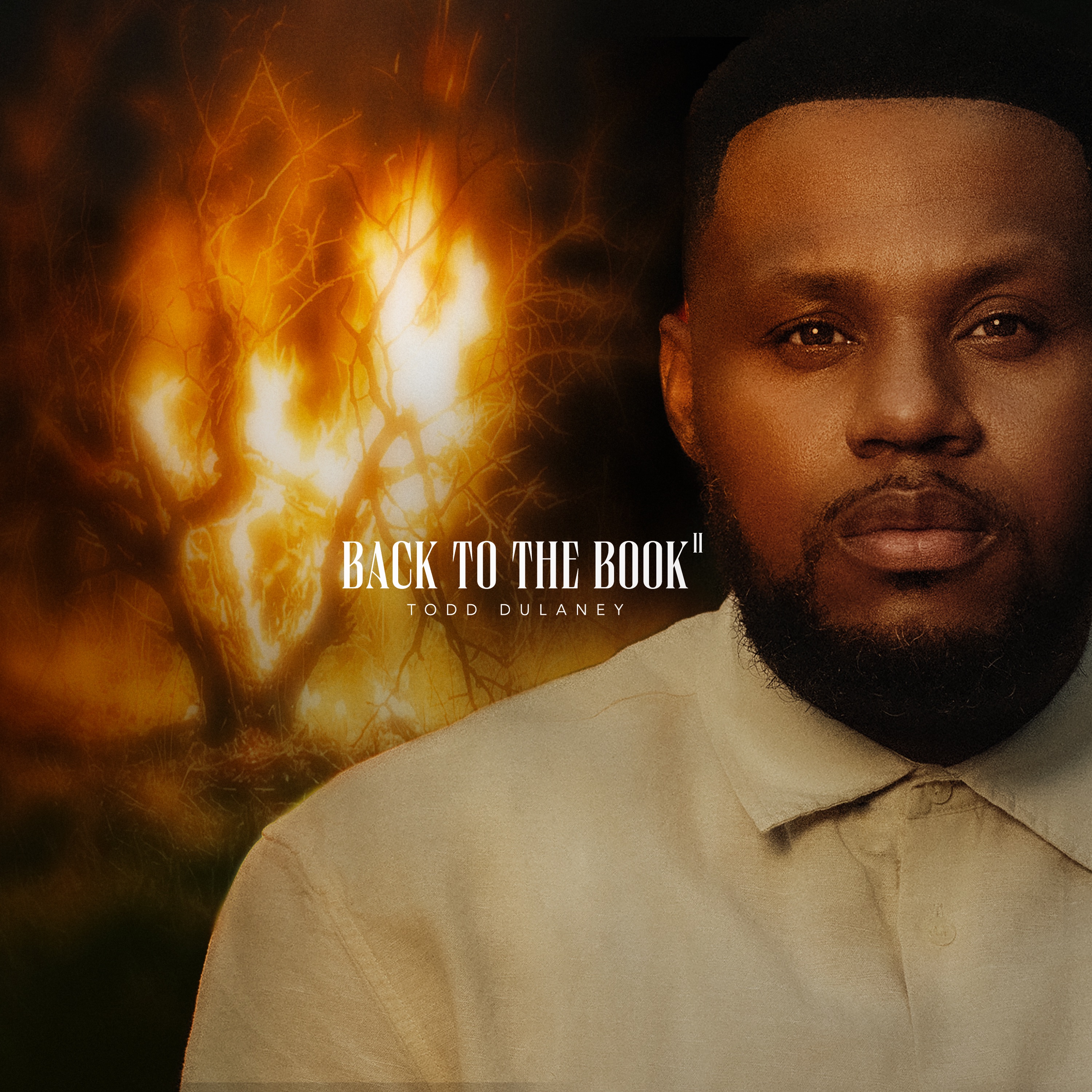 Back To The Book II album cover