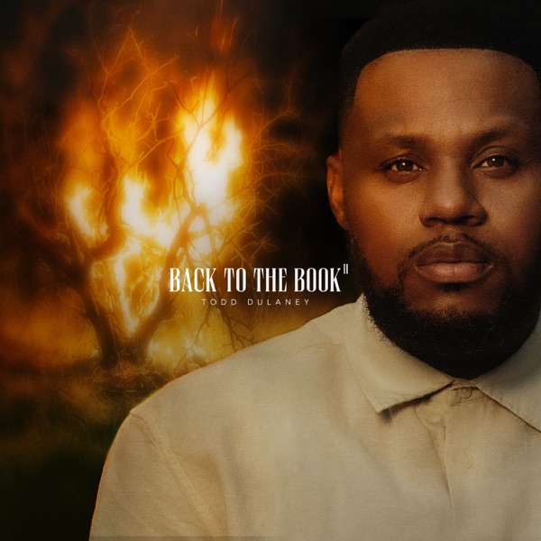 Back To The Book II album cover