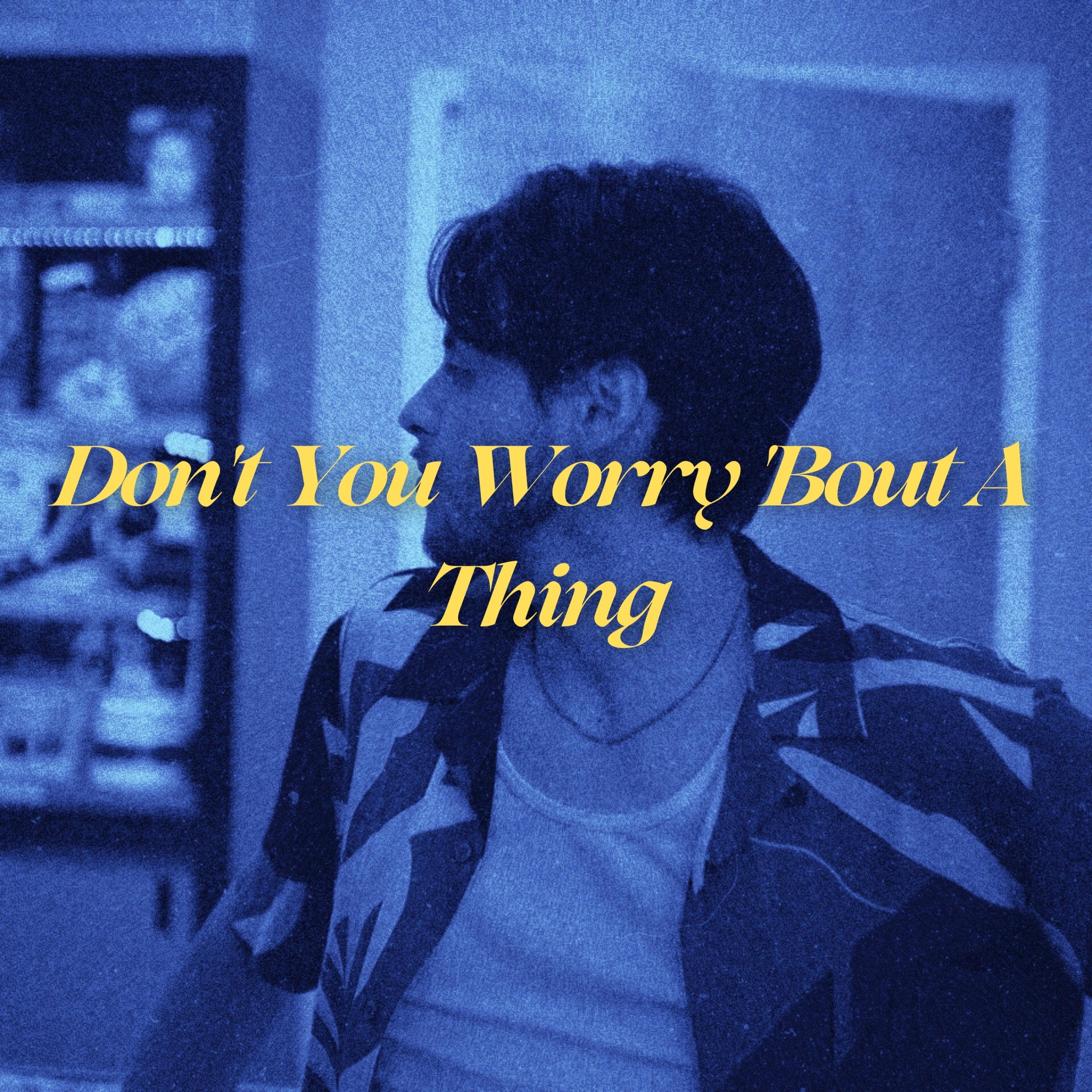 Don't You Worry 'Bout a Thing - Single album cover