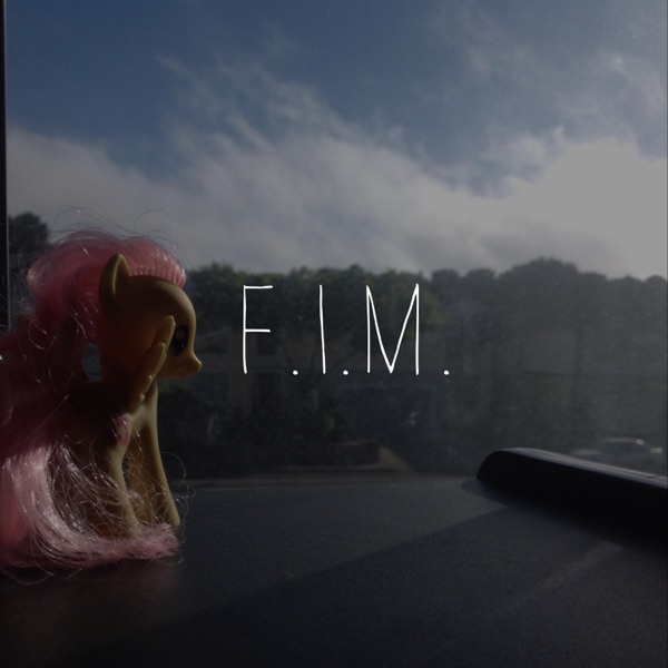 F.I.M. - Single album cover