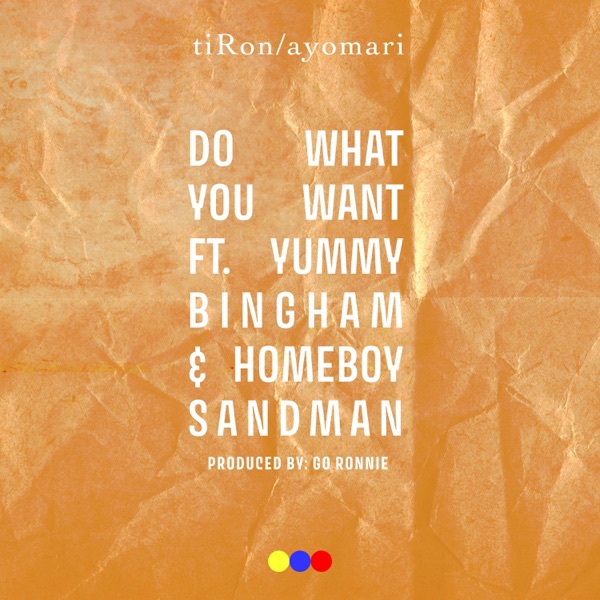Do What You Want (feat. Yummy Bingham & Homeboy Sandman) - Single album cover
