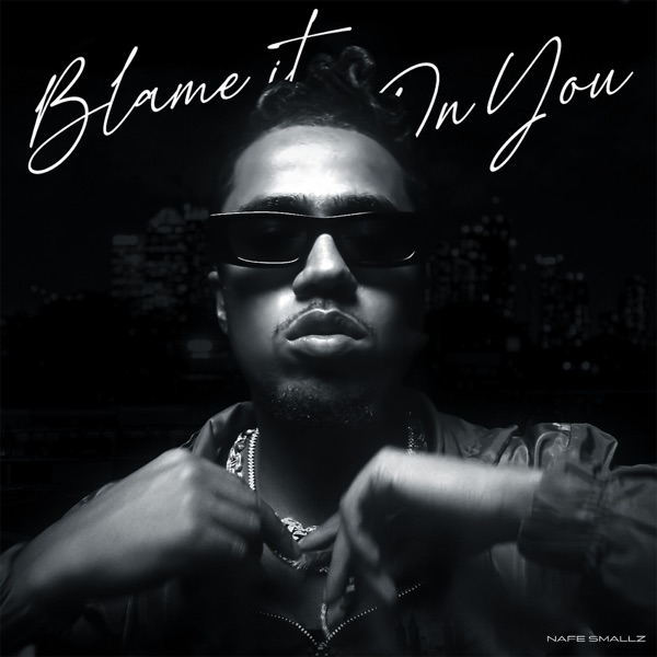 Blame It On You - Single album cover