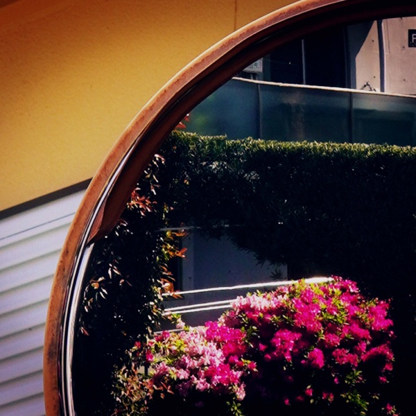 okii - Single album cover