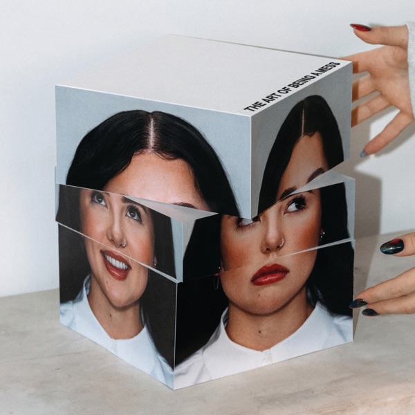 THE ART OF BEING A MESS album cover