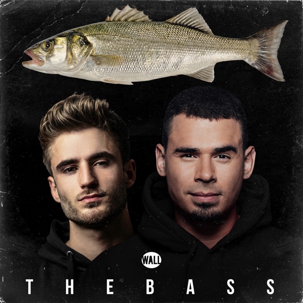 The Bass - Single album cover