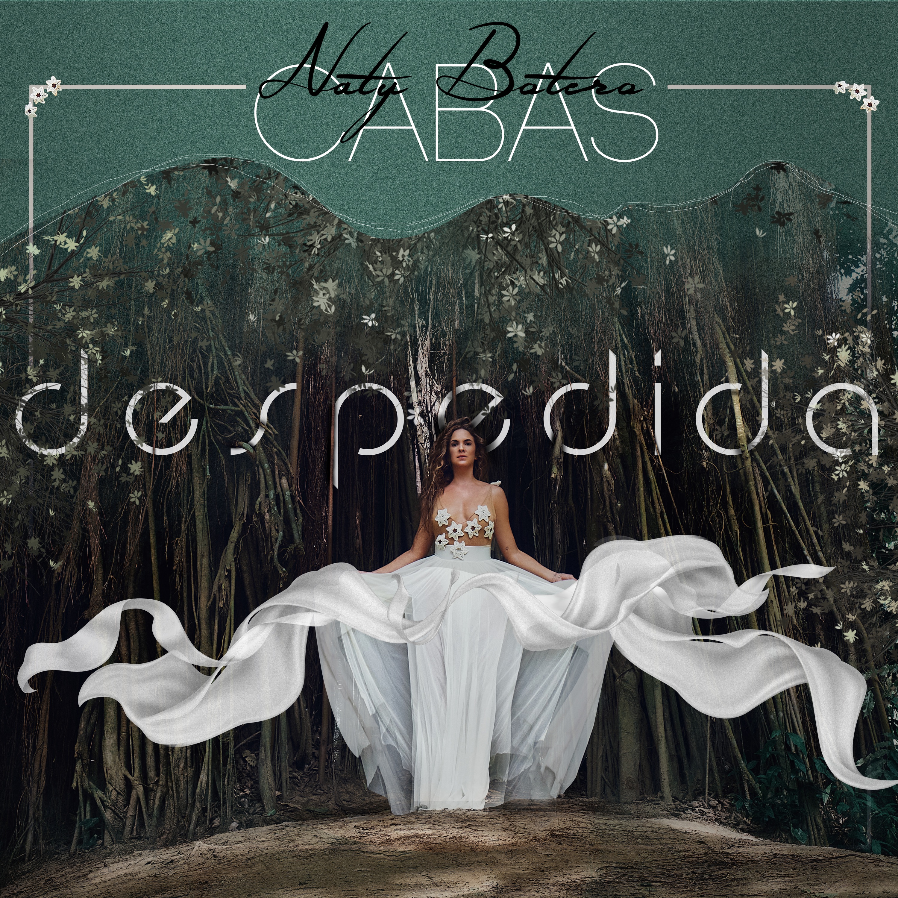 Despedida - Single album cover