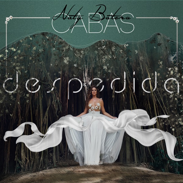 Despedida - Single album cover