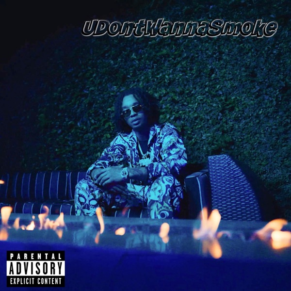 UDontWannaSmoke - Single album cover