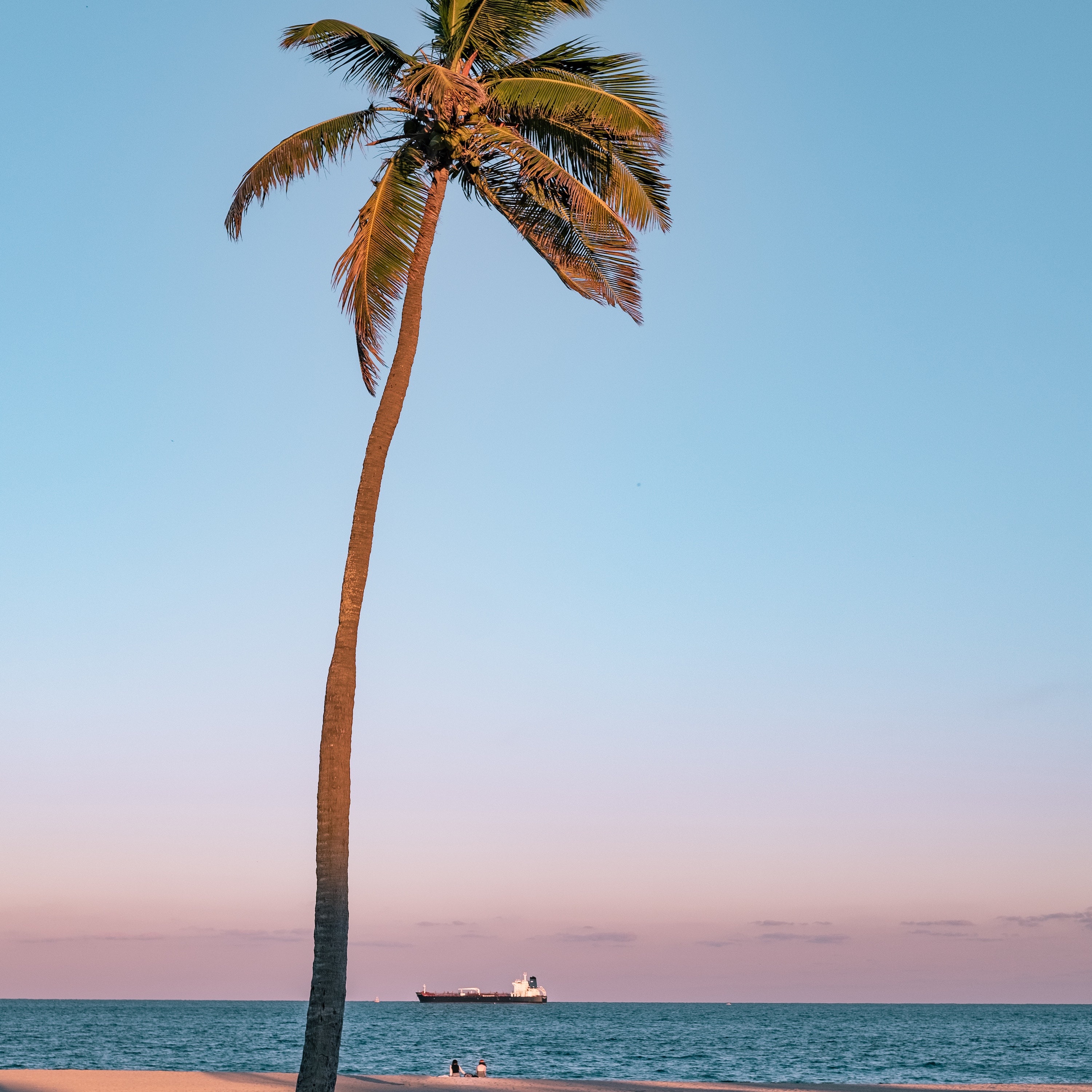 New Summer album cover