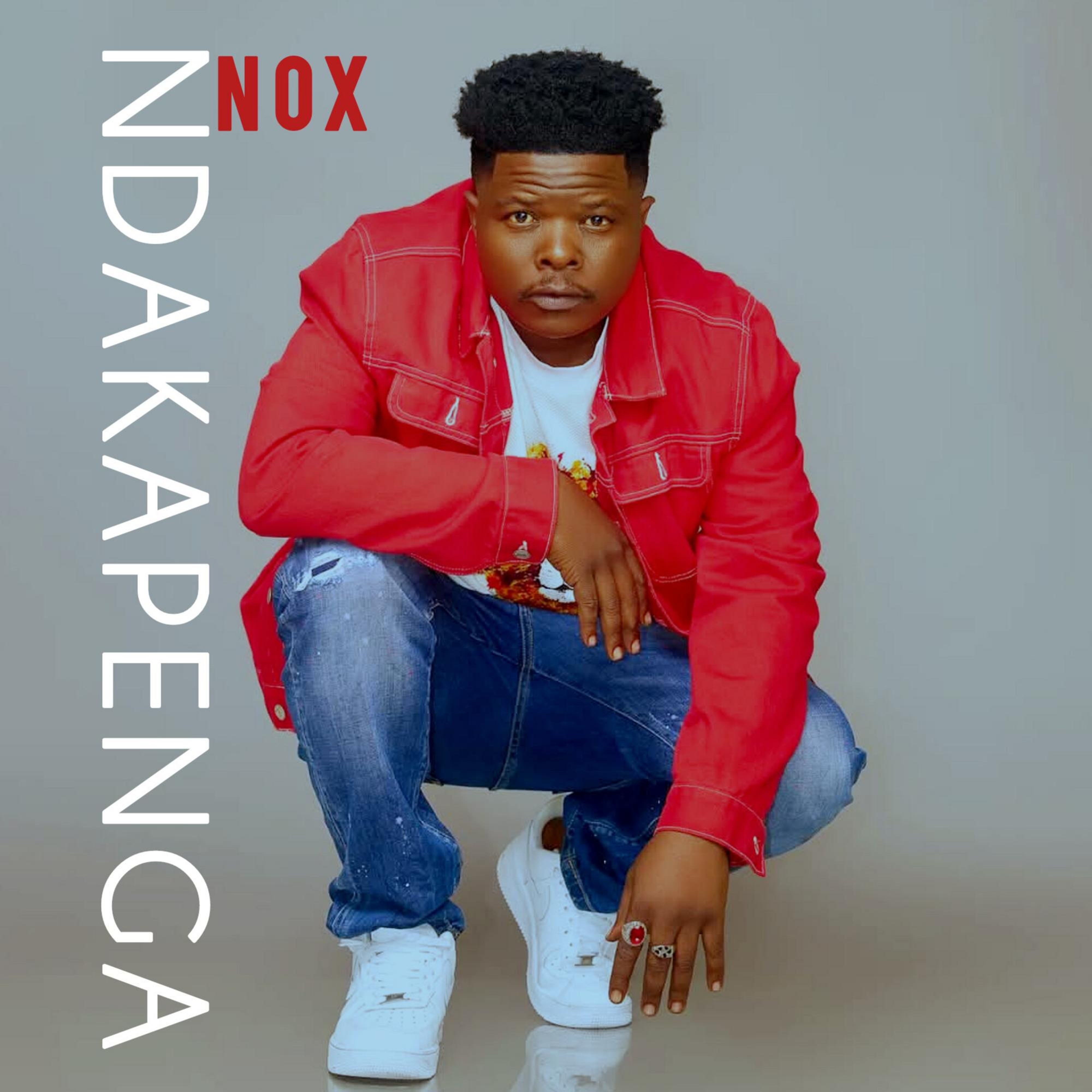 Ndakapenga - Single album cover