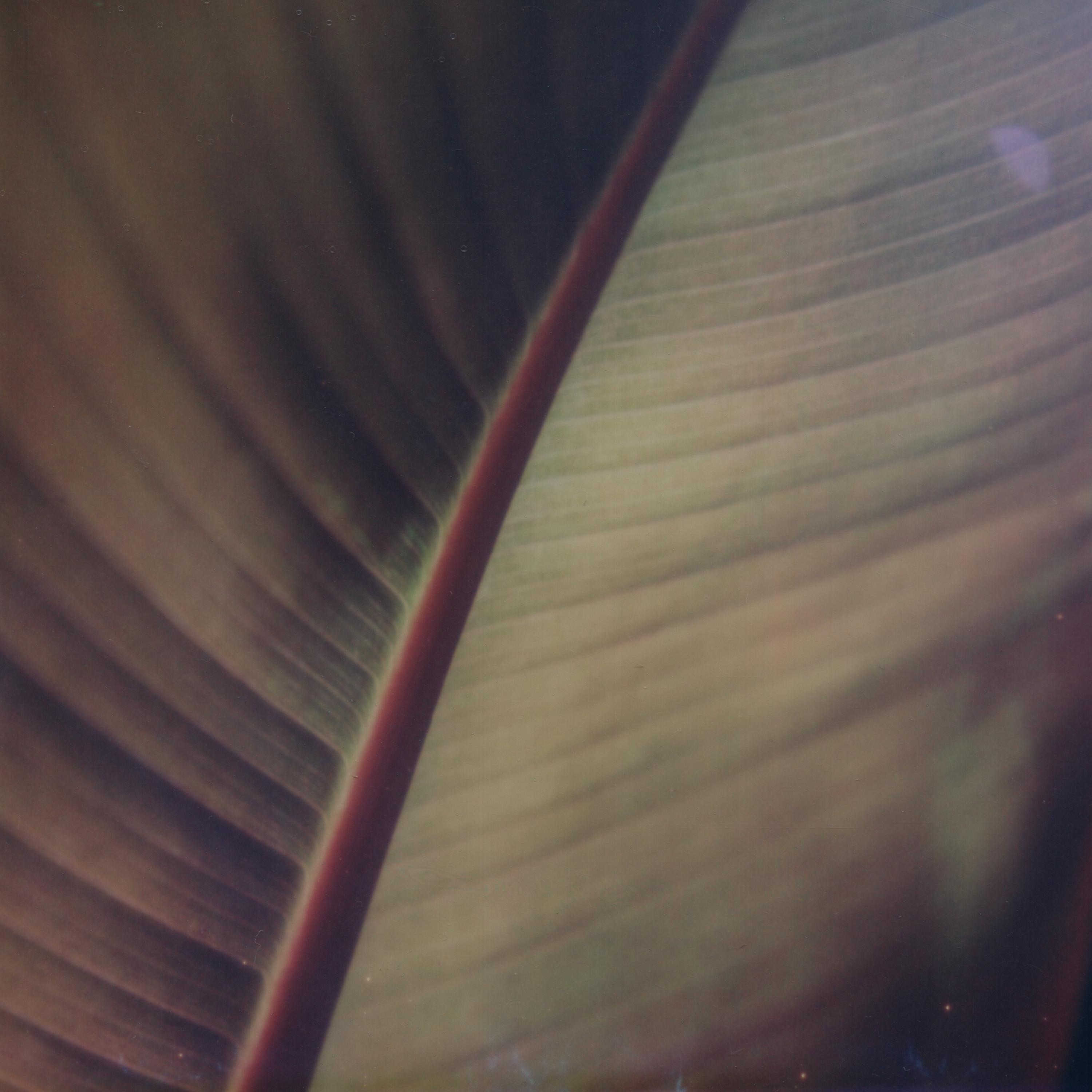 Departing Day - Single album cover