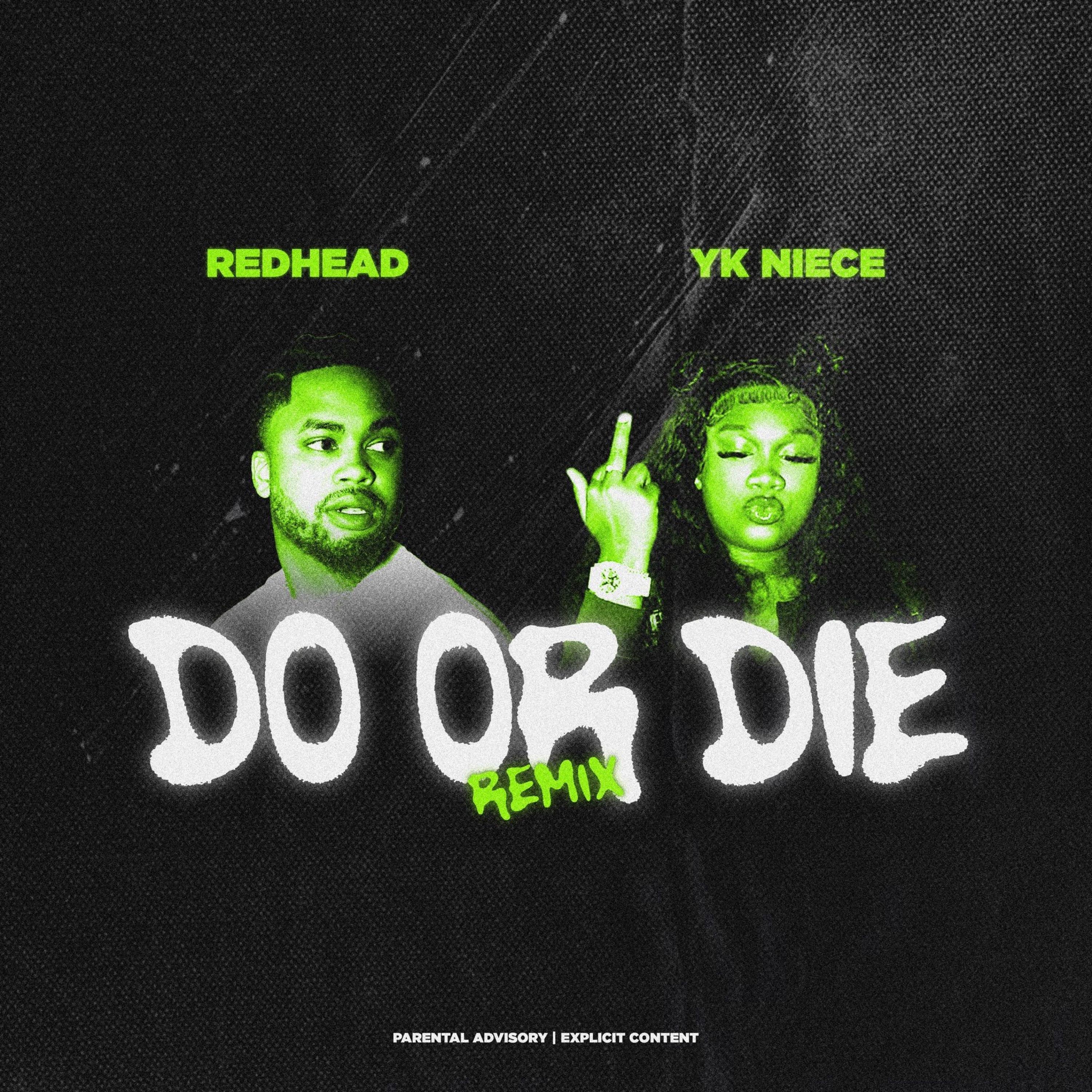 Do or Die Remix - Single album cover