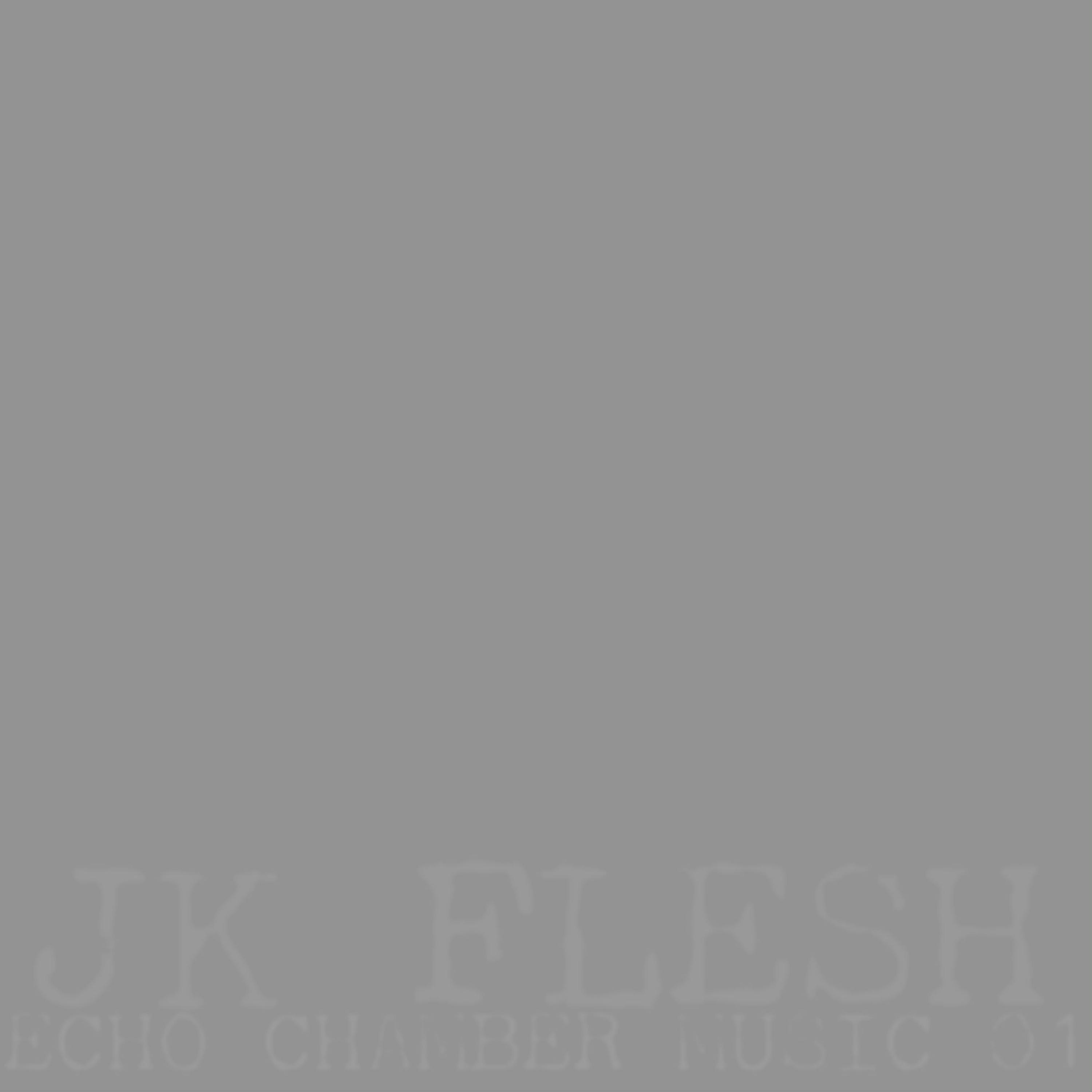 Echo Chamber Music 01 album cover