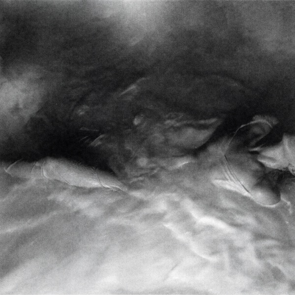 FLOWERS for VASES / descansos album cover