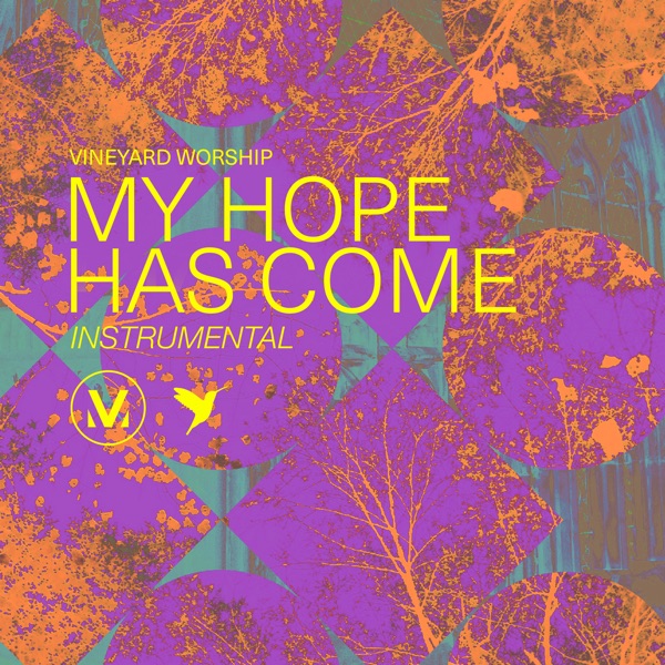 My Hope Has Come (Instrumental) album cover