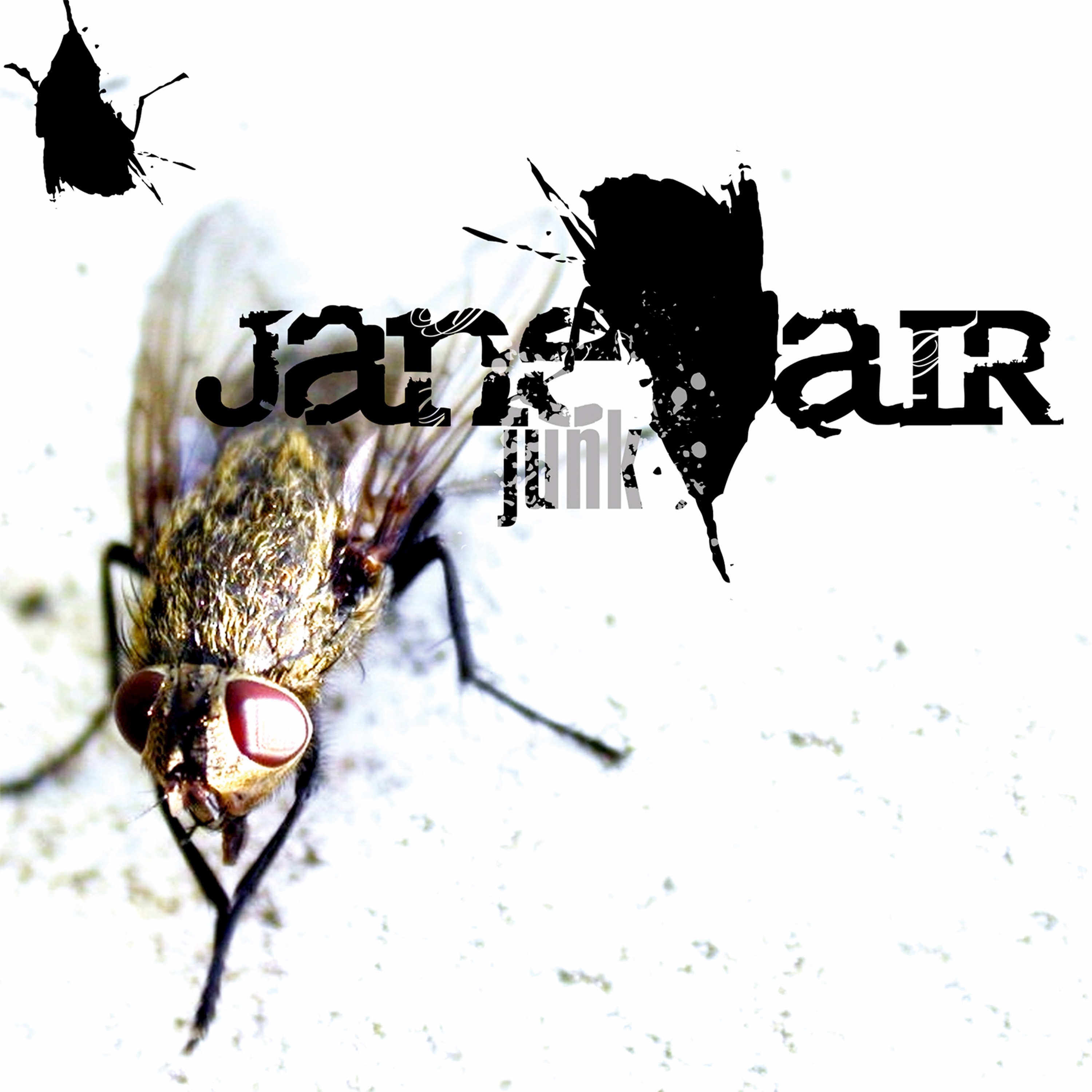 JUNK album cover