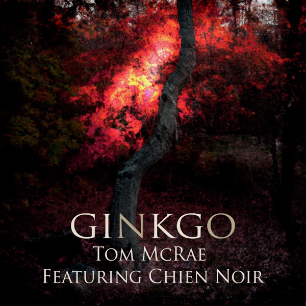 Ginkgo (feat. chien noir) - Single album cover