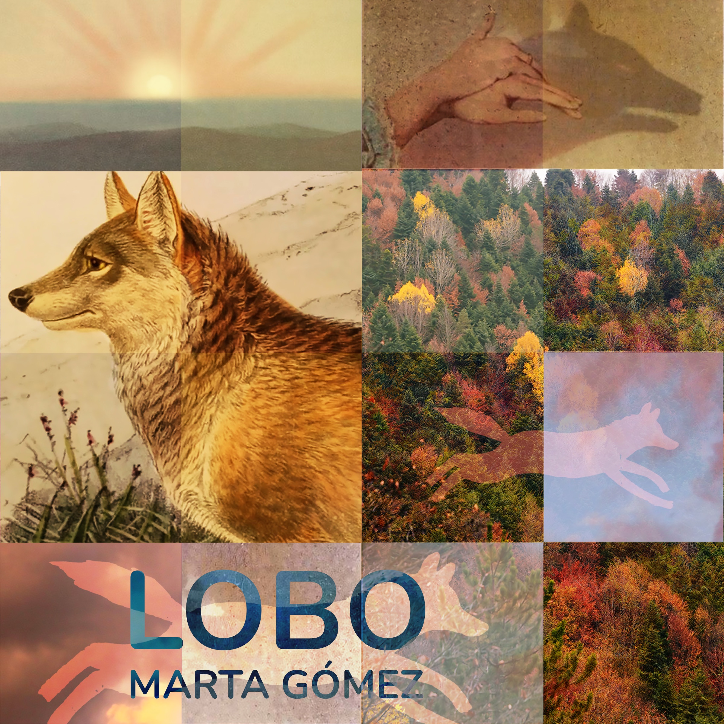 Lobo - Single album cover