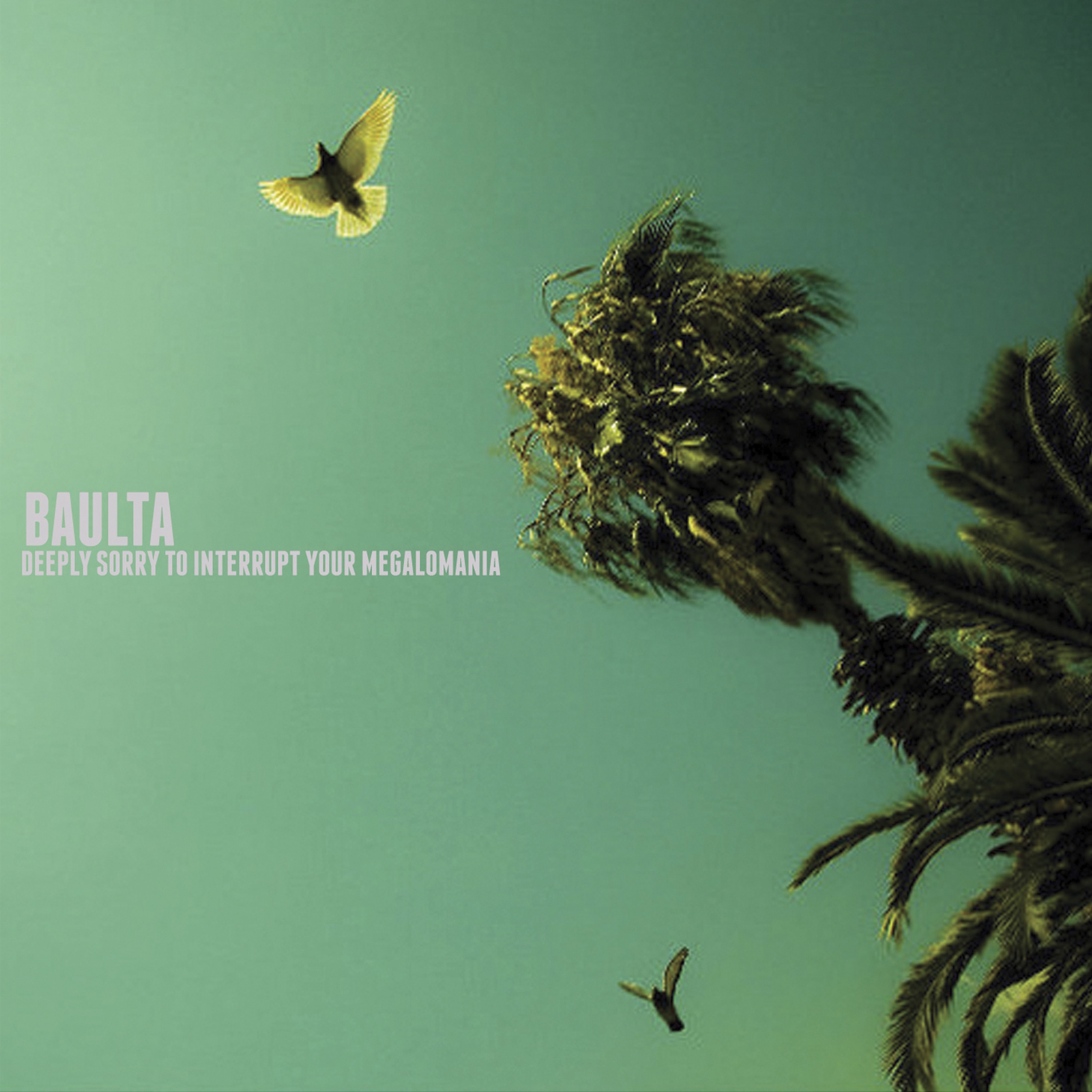 Deeply Sorry To Interrupt Your Megalomania album cover