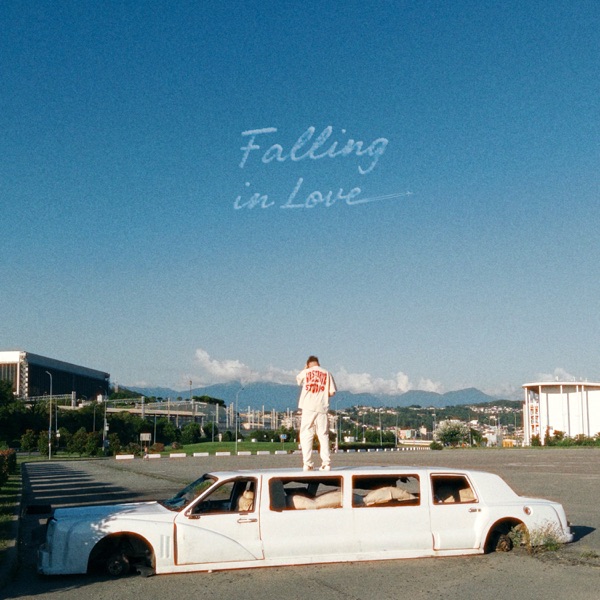 Falling in Love - Single album cover