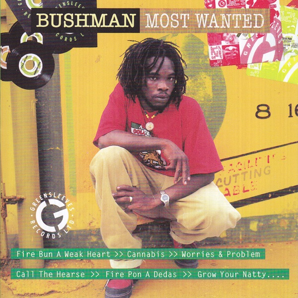 Most Wanted album cover