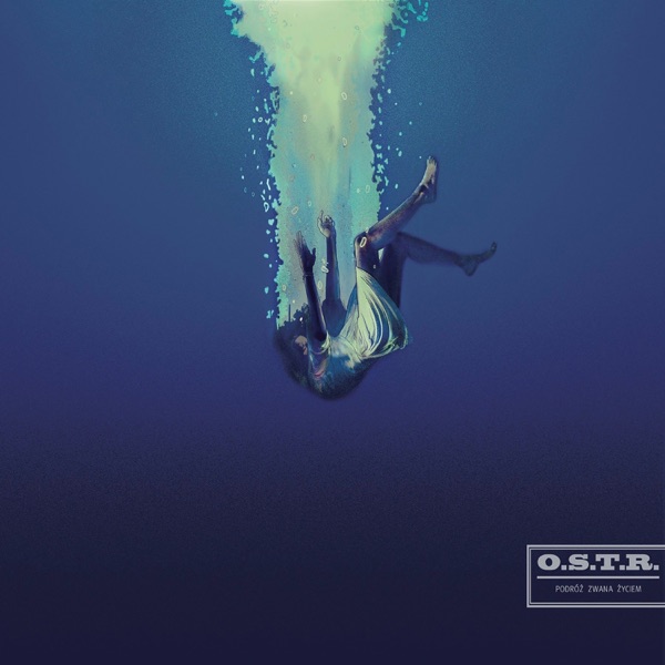 Podróż Zwana Życiem album cover