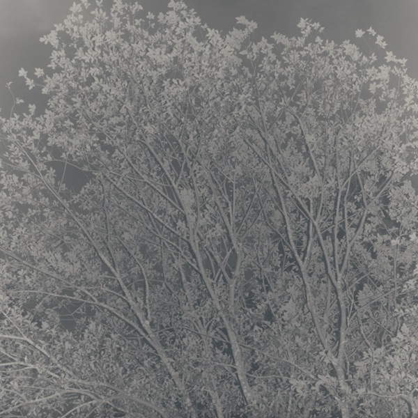 Dolphin Spray / Static - Single album cover