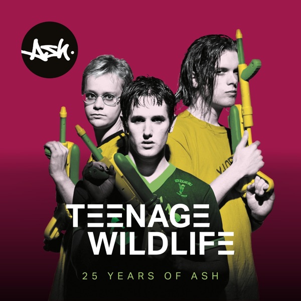 Teenage Kicks - Single album cover