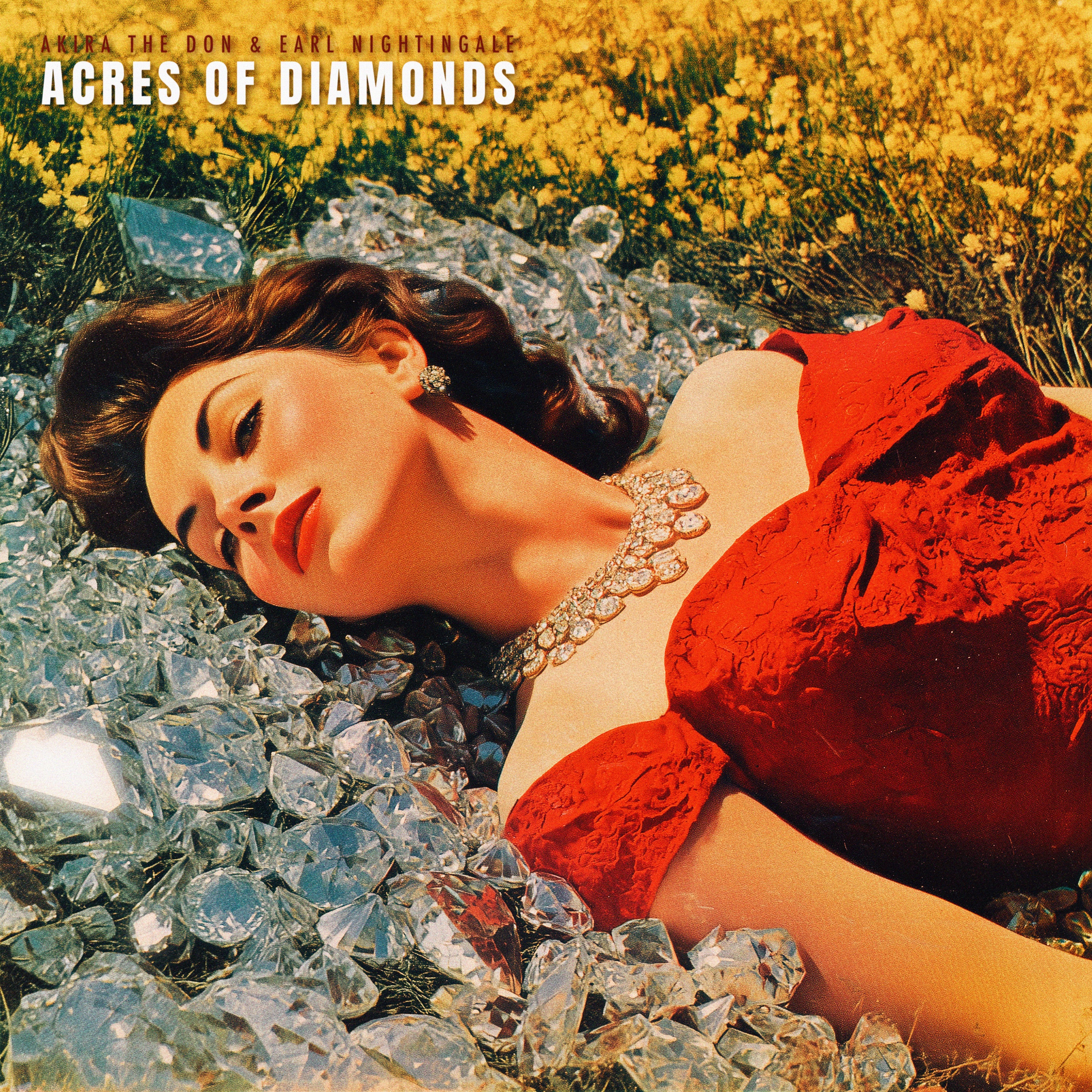 ACRES OF DIAMONDS - Single album cover