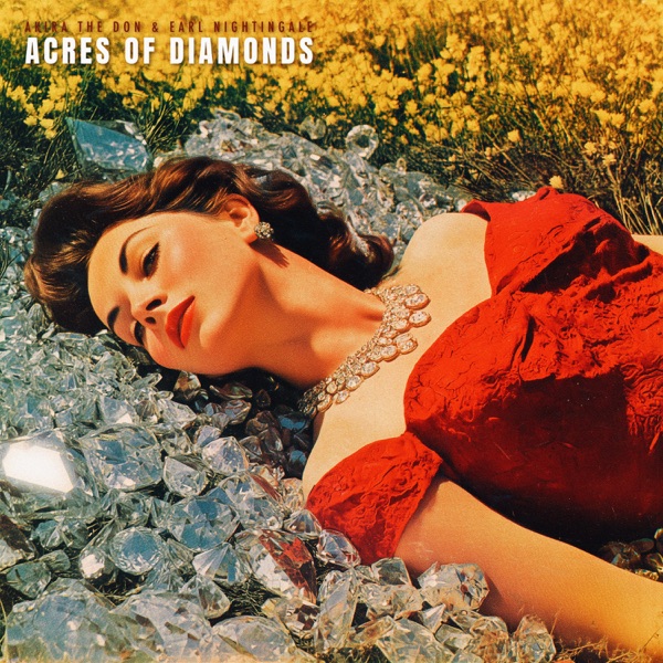 ACRES OF DIAMONDS - Single album cover