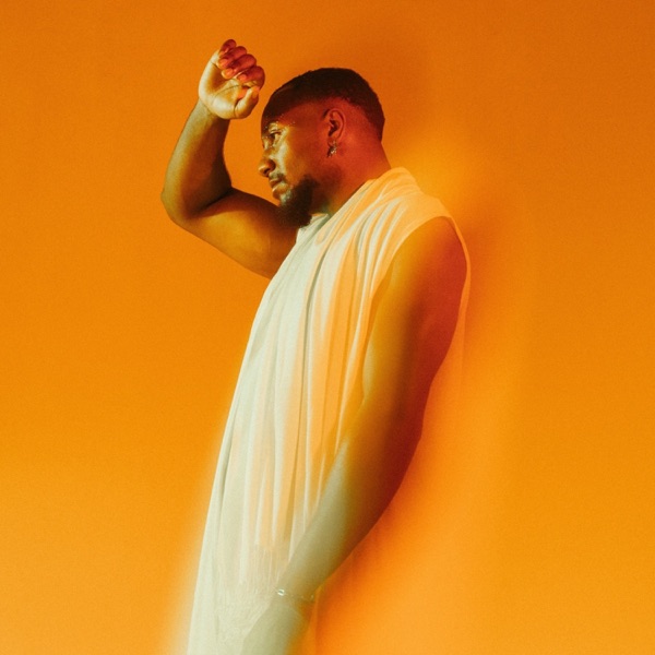 Fold the Light. album cover