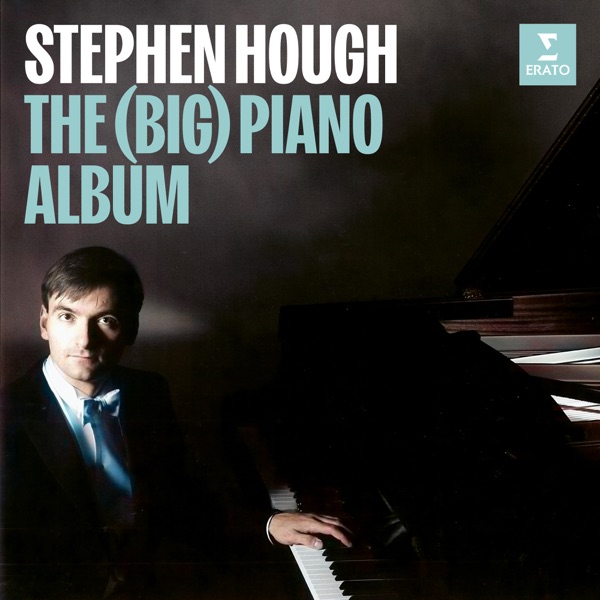 The (Big) Piano Album album cover