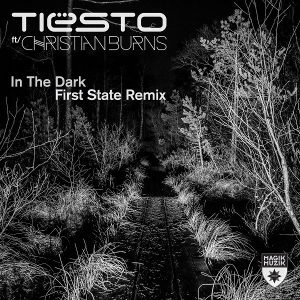 In the Dark (First State Remix) - Single album cover