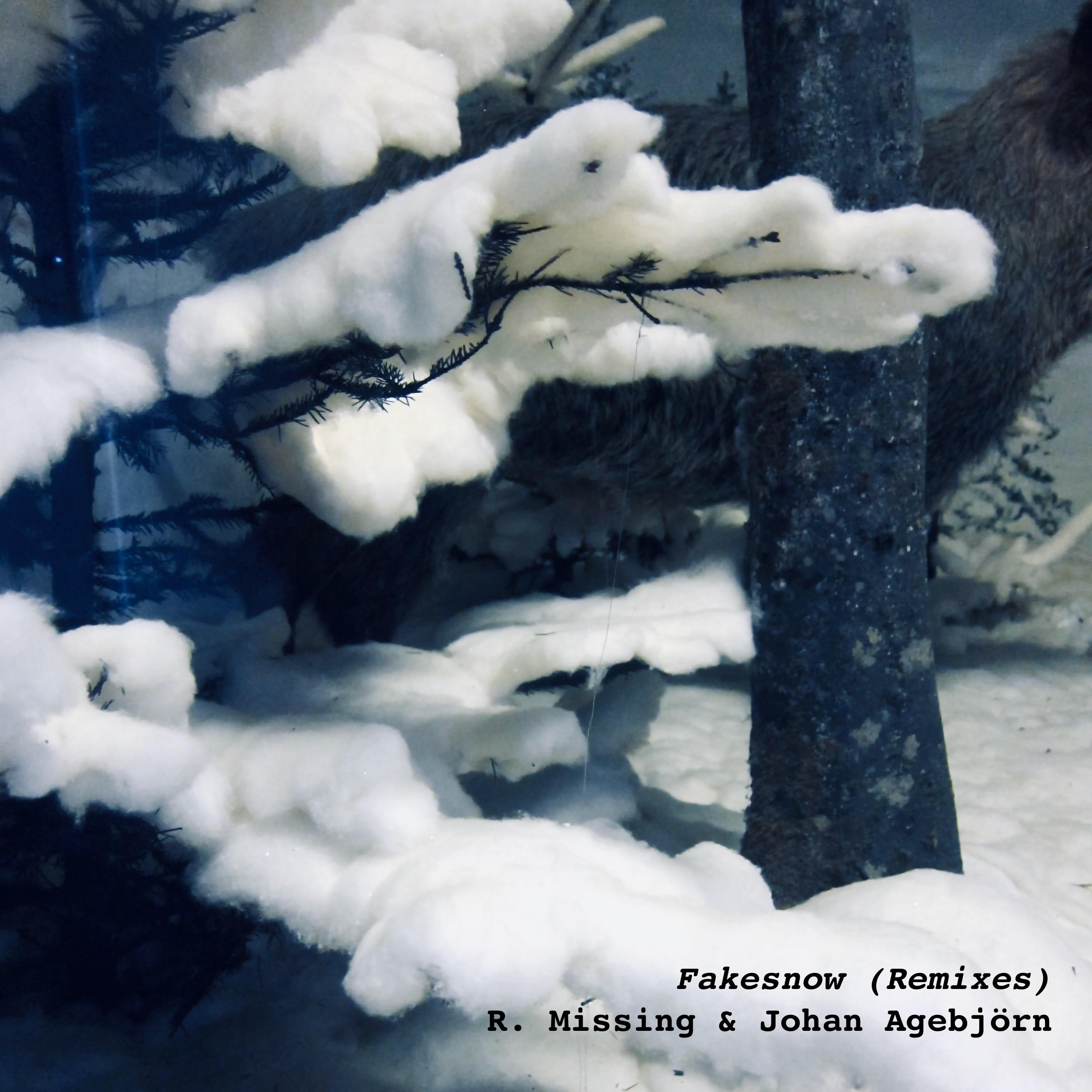 Fakesnow (Remixes) - Single album cover