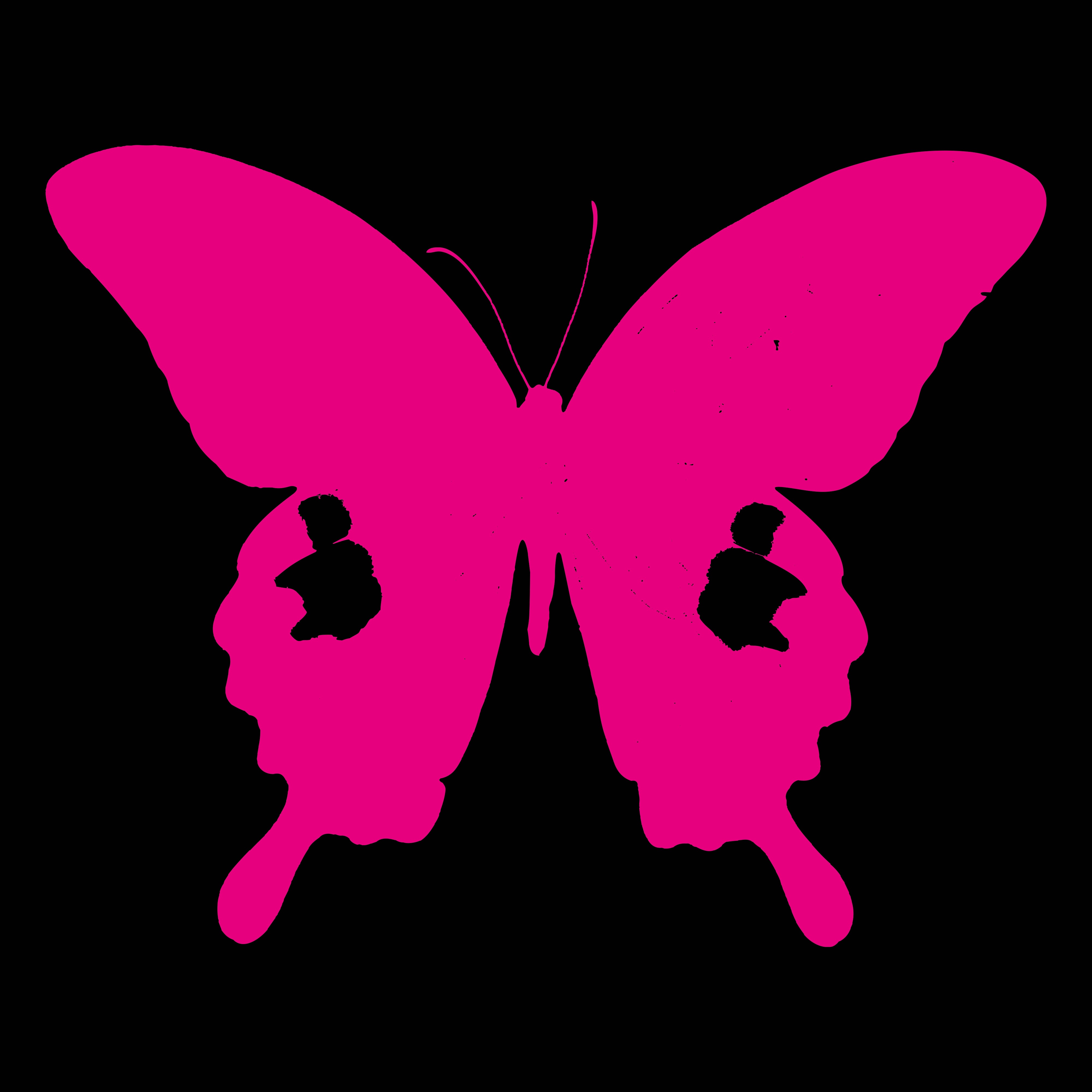 Paradise Live album cover