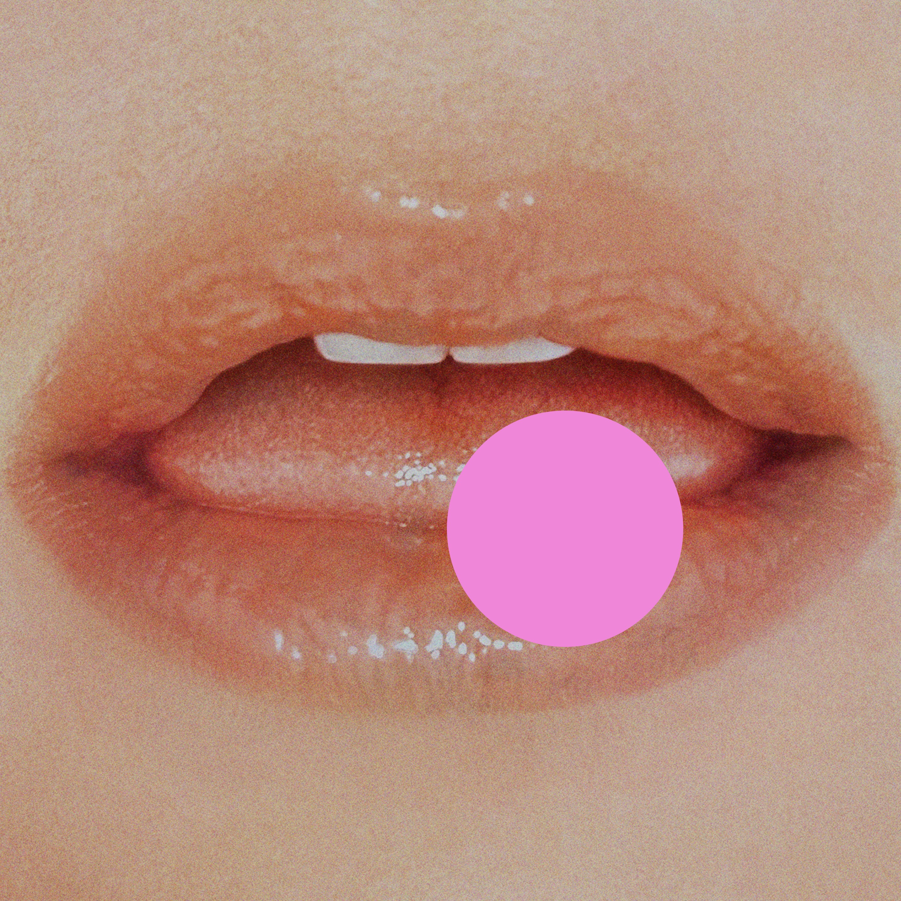 . album cover