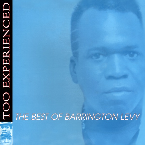 Too Experienced: The Best of Barrington Levy album cover