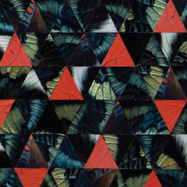 Diatom Ribbons (Live At The Village Vanguard) [feat. Julian Lage, Terri Lyne Carrington, Trevor Dunn album cover