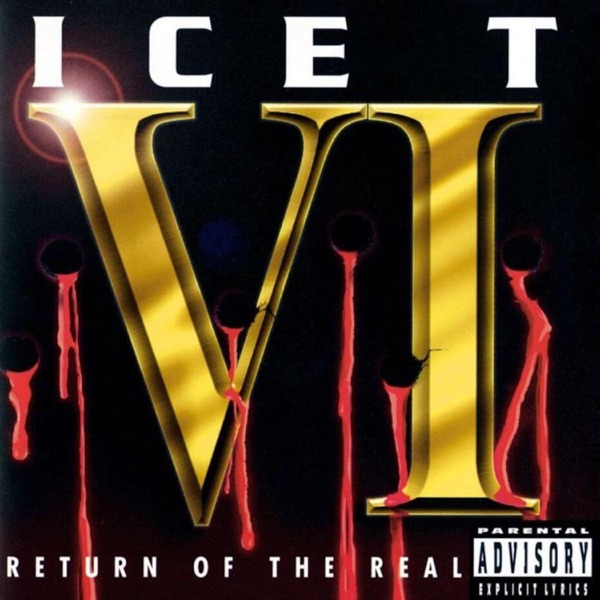 VI: Return of the Real album cover