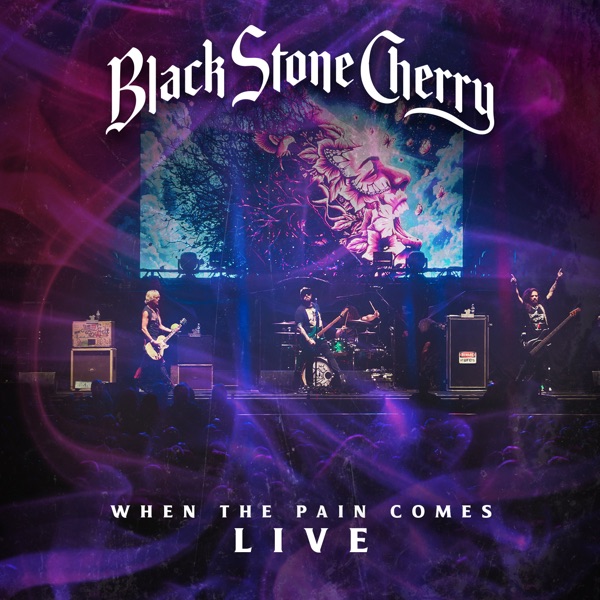 When the Pain Comes (Live) - Single album cover