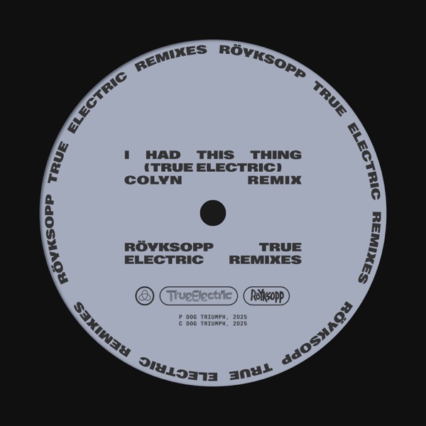 I Had This Thing (Colyn Remix) [feat. Jamie Irrepressible] - Single album cover