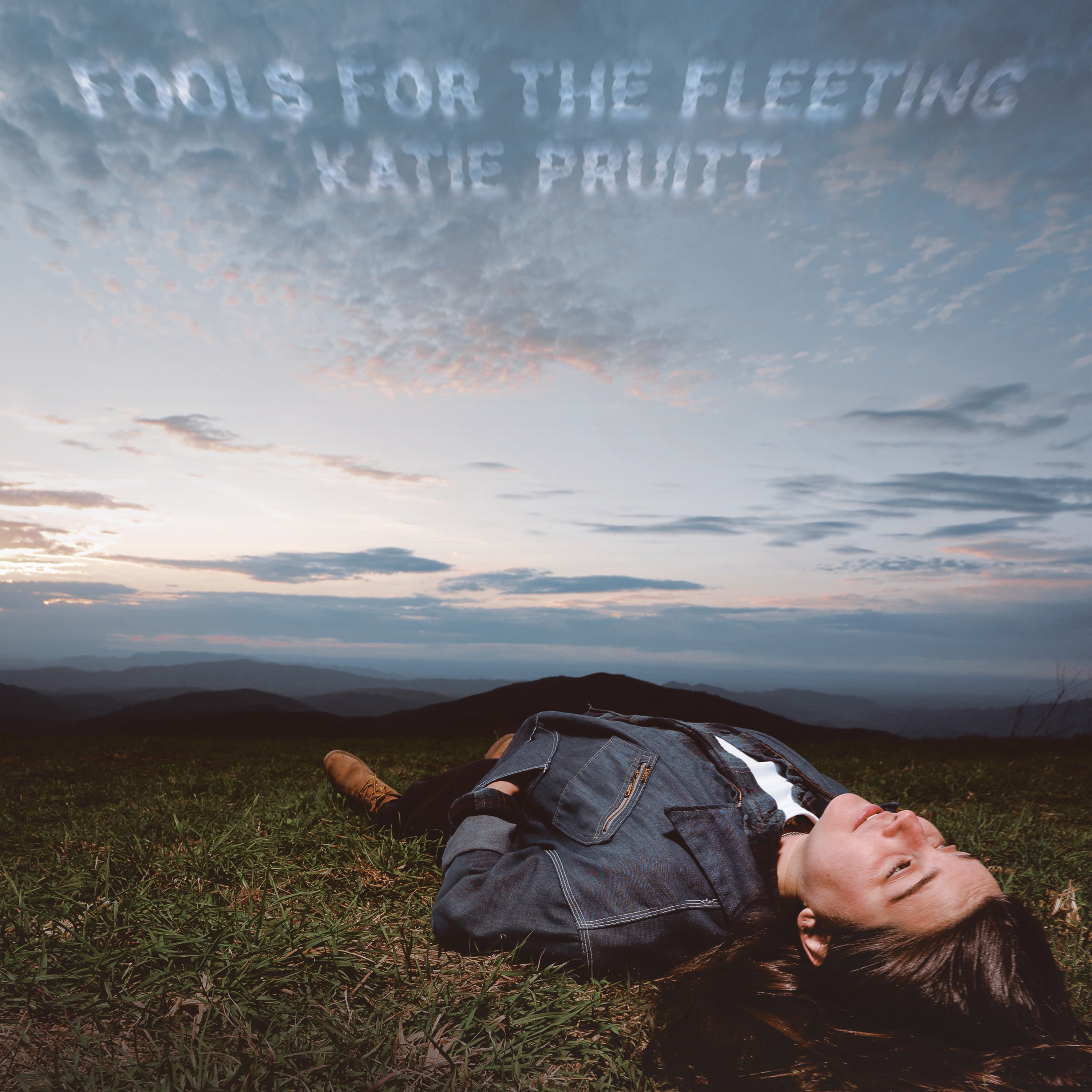 Fools for the Fleeting album cover