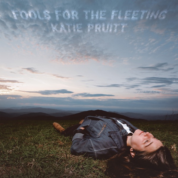 Fools for the Fleeting album cover