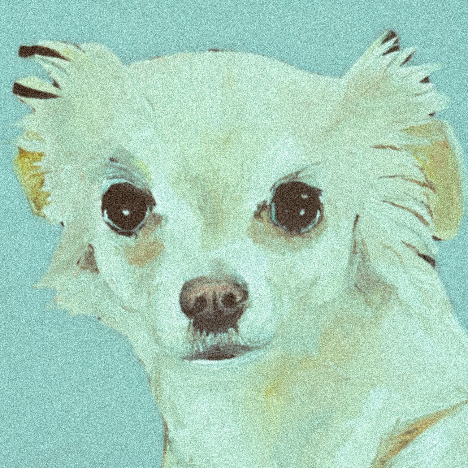 Dulce Perro - Single album cover