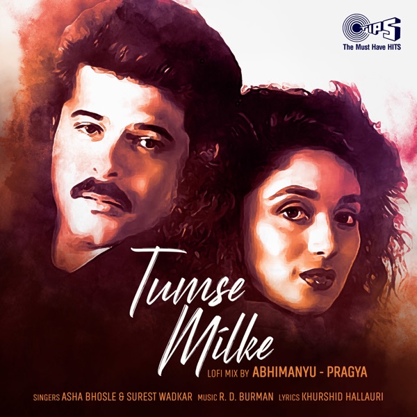 Tumse Milke (Lofi Mix) - Single album cover