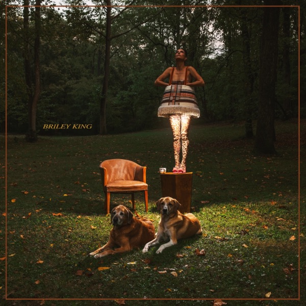 The Night The Lights Went Out In Georgia - Single album cover