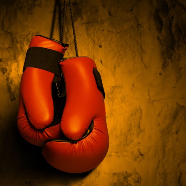 Gon Get It (Sped Up + Reverb) [feat. DMX] - Single album cover