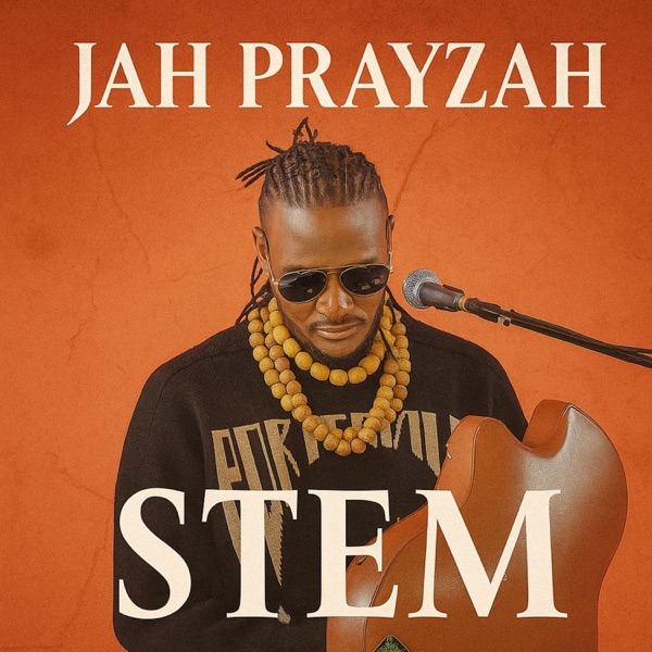 Stem - Single album cover