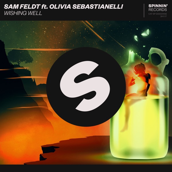 Wishing Well (feat. Olivia Sebastianelli) [Extended Mix] - Single album cover